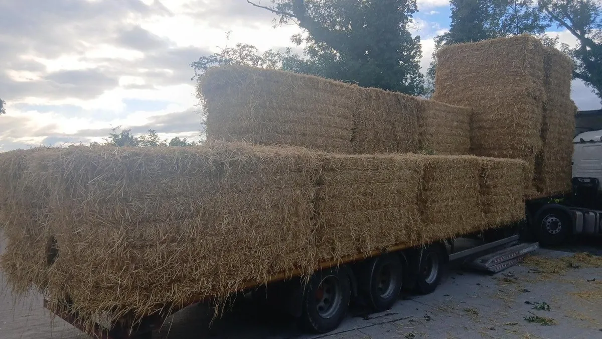 BARLEY 8X4X4 STRAW - Image 2