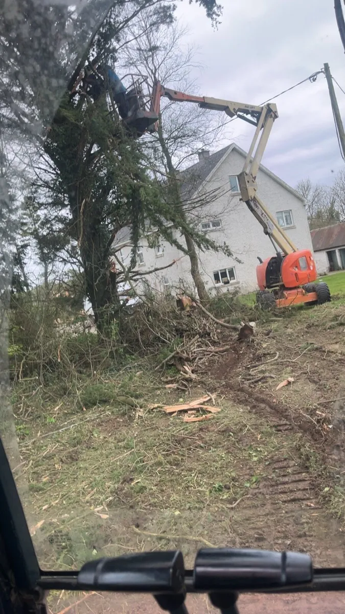Dangerous trees wood chipper tree hight reduction - Image 2