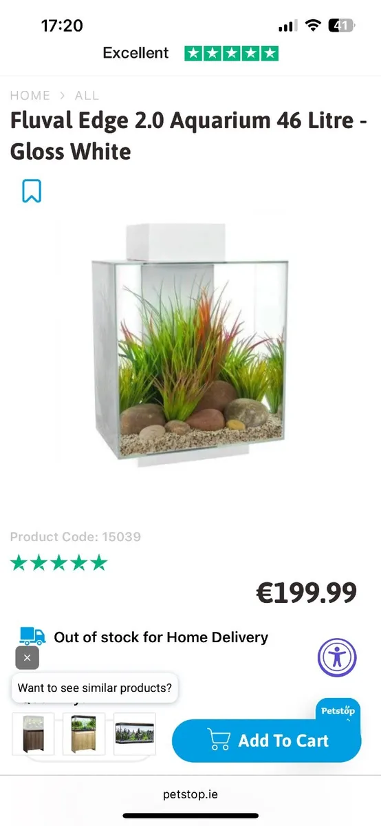 Fish Tank - Image 1