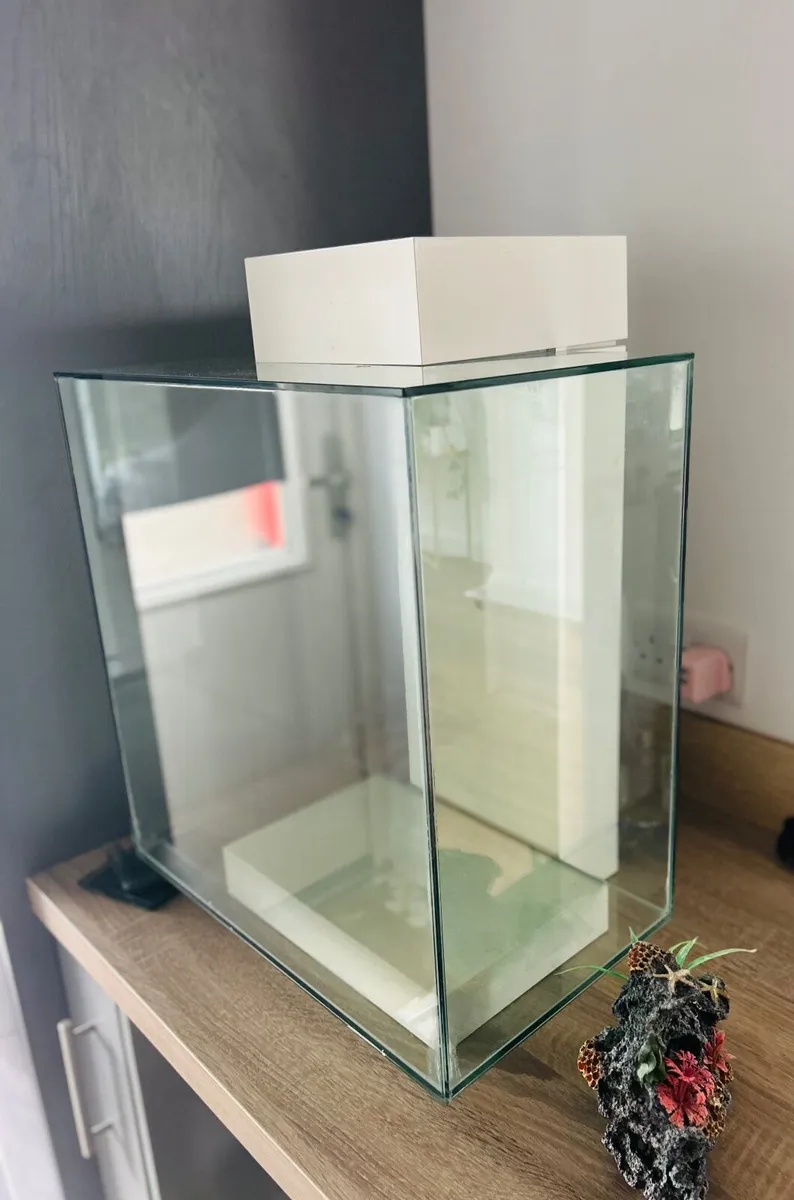 Fish Tank - Image 2