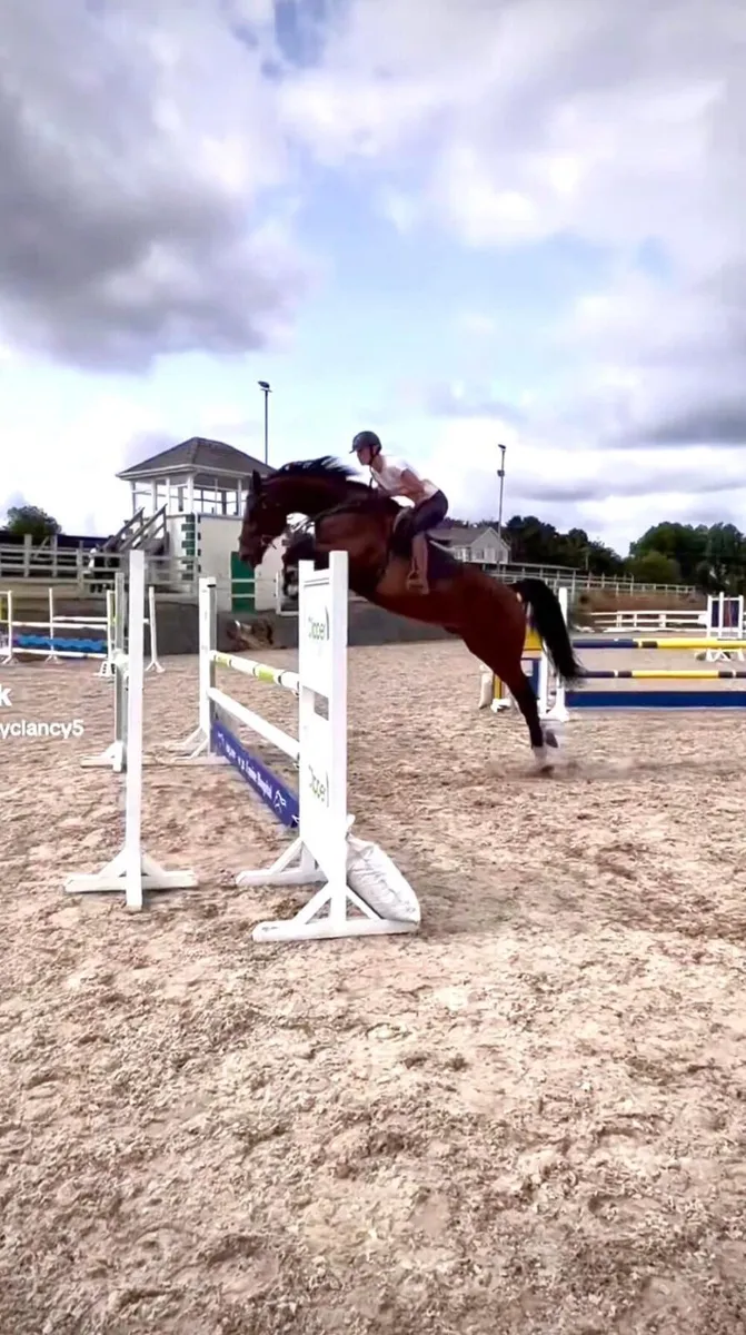 Showjumper - Image 1