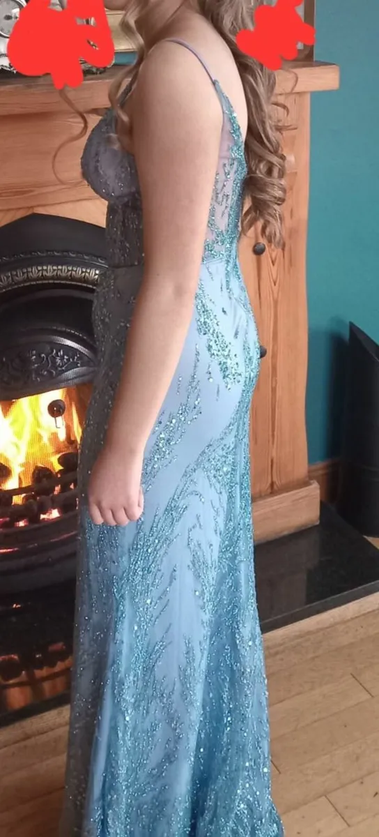 DEBS DRESS / TY Dress - Image 1