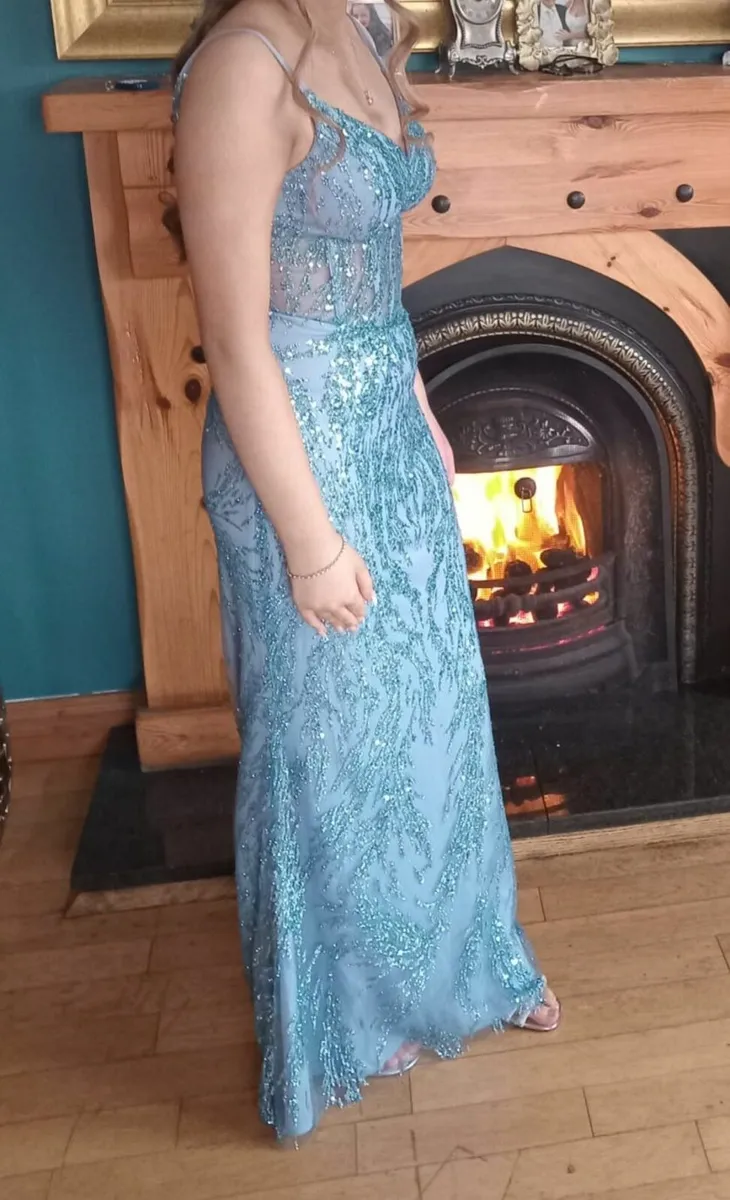 DEBS DRESS / TY Dress - Image 3