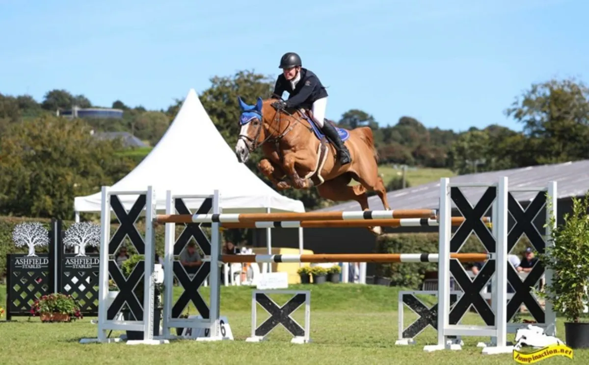 Tyson Colt Foal - Image 1