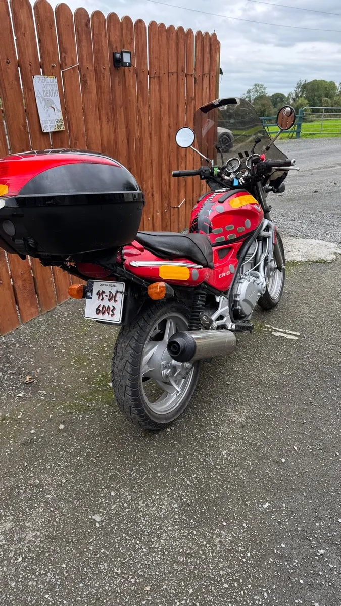 Kawasaki ER5 1995 (Price drop) - Image 3