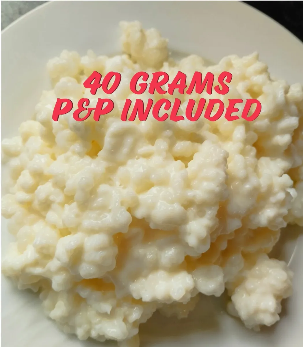 Milk Kefir Grains 40 grams Probiotics
