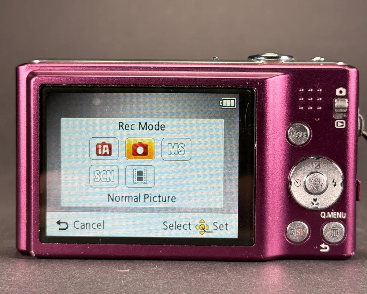 Panasonic Lumix DMC-FS35 - Image 4