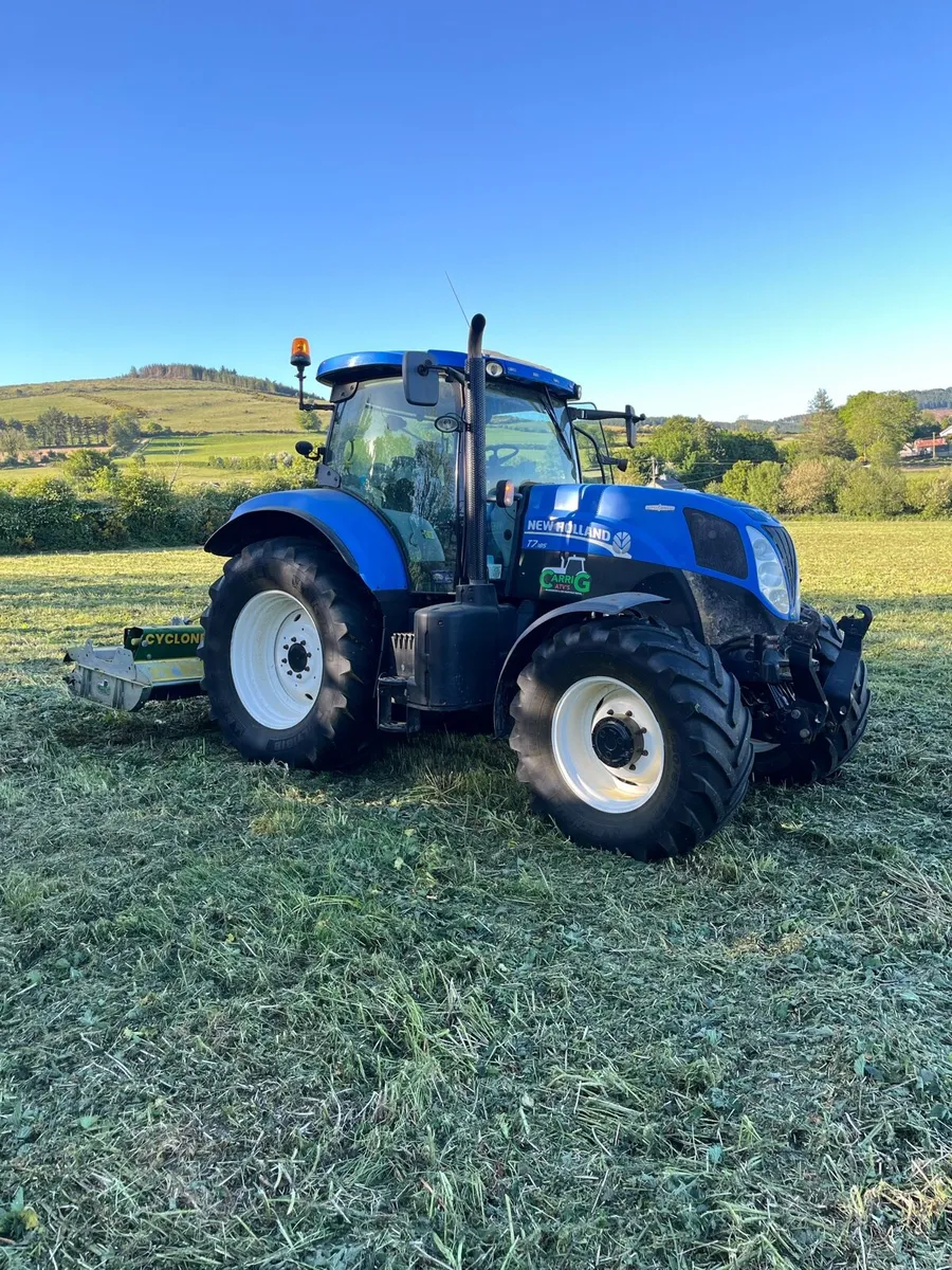 Mulching/Topping Service - Carlow & Surrounding - Image 2