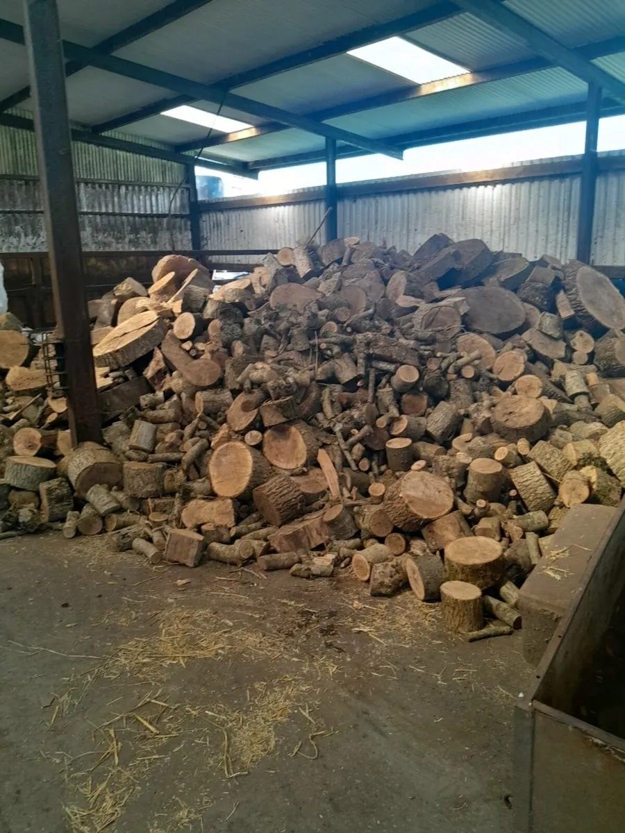 Logs for sale - Image 2