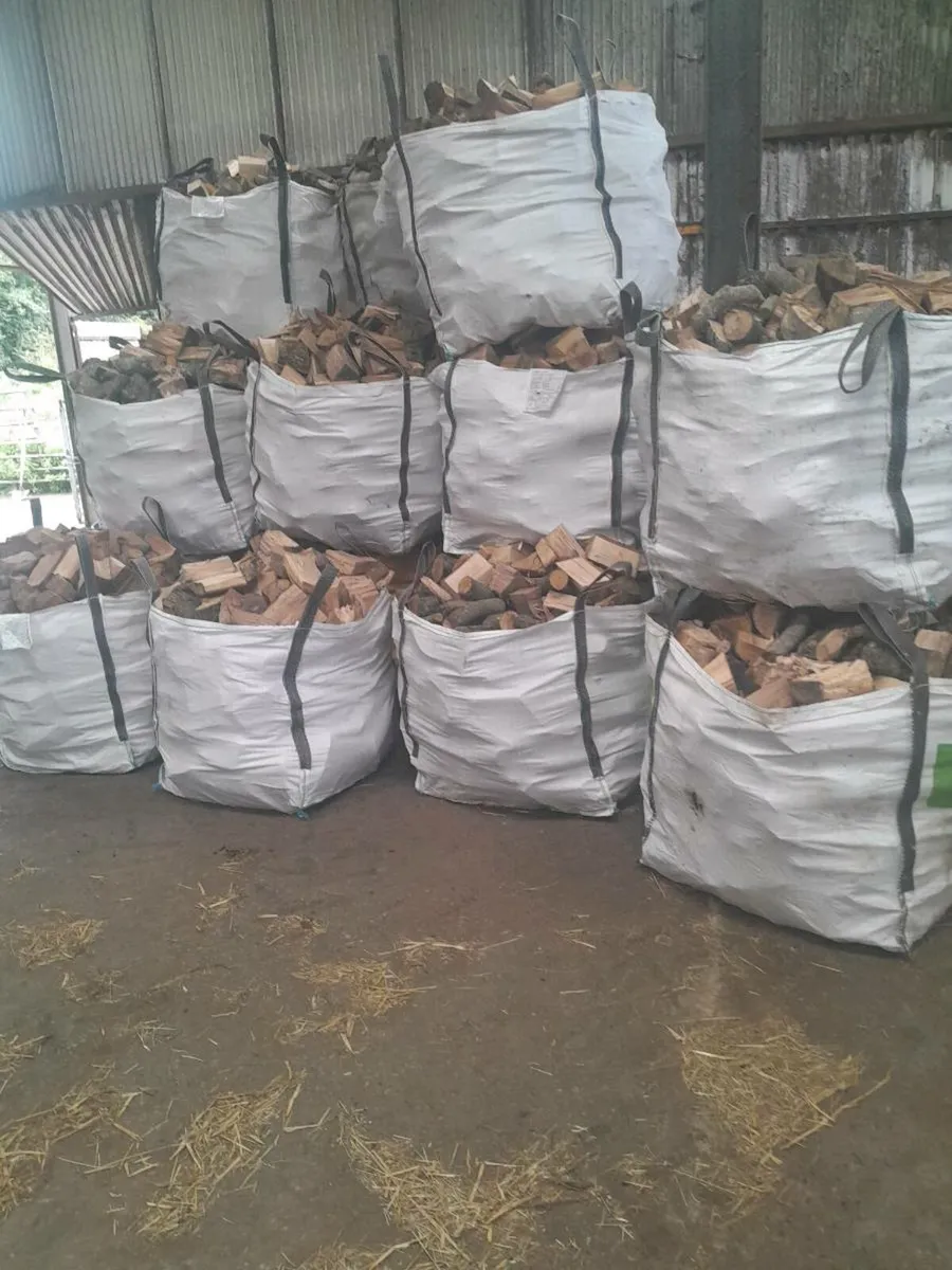 Logs for sale - Image 3