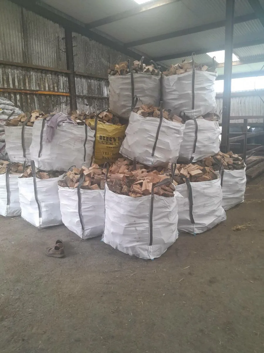 Logs for sale - Image 4