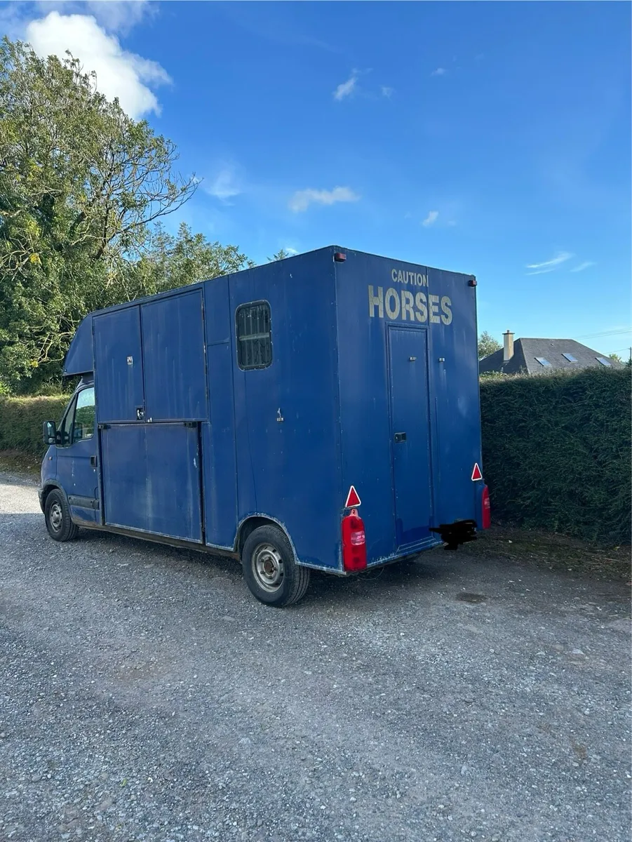 3.5 tonne Renault Master horse transporter - Image 4