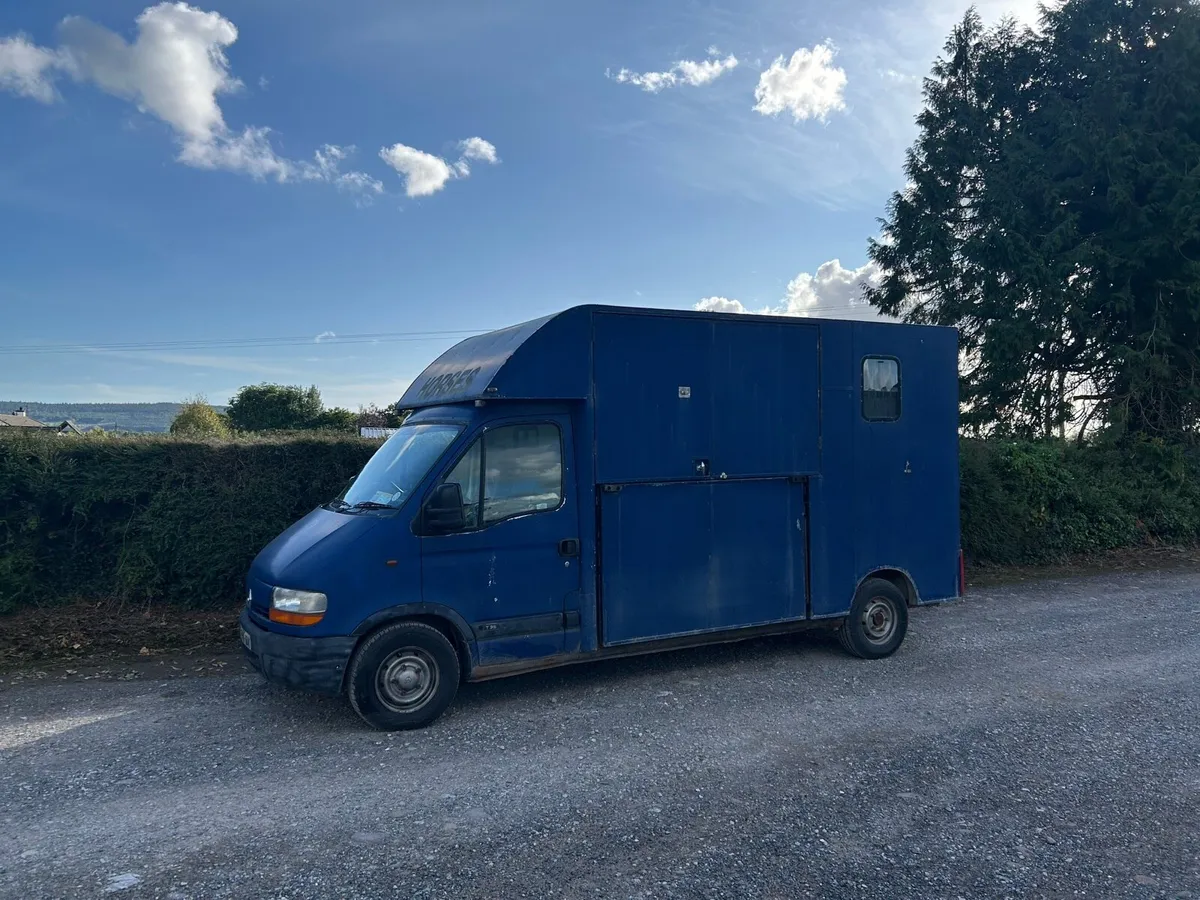 3.5 tonne Renault Master horse transporter - Image 2