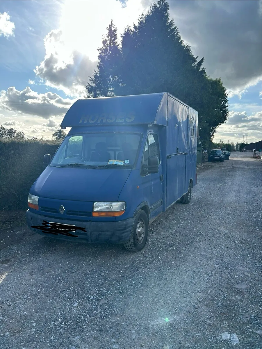 3.5 tonne Renault Master horse transporter - Image 3