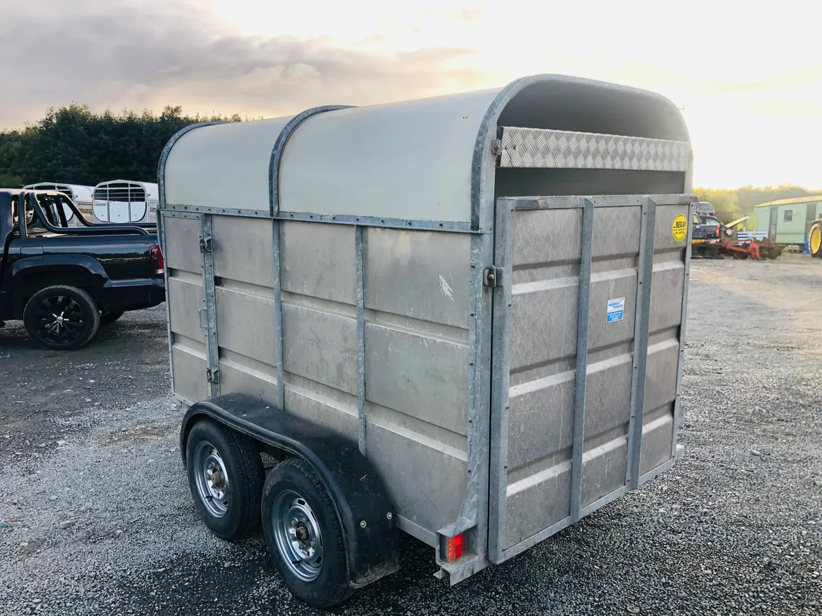 Murphy 2 cow trailer - Image 4