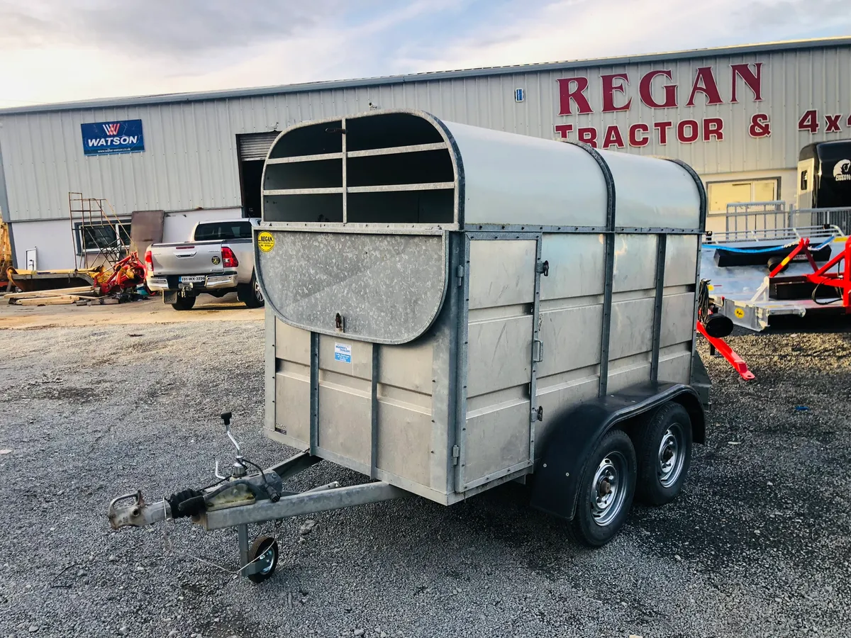 Murphy 2 cow trailer - Image 2