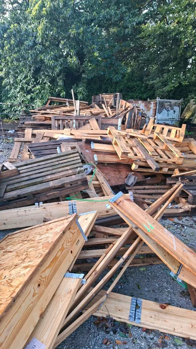 Free pallets and timber - Image 4