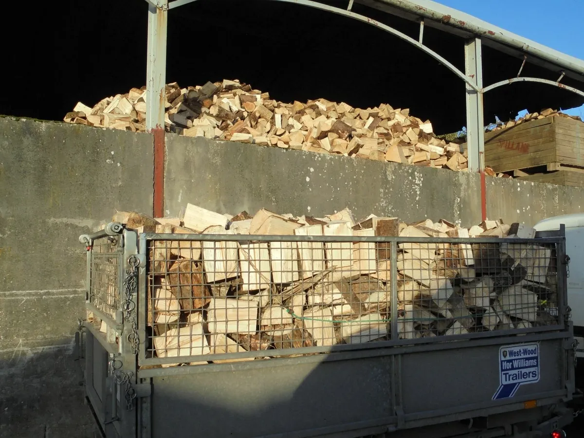 FIREWOOD - Image 1