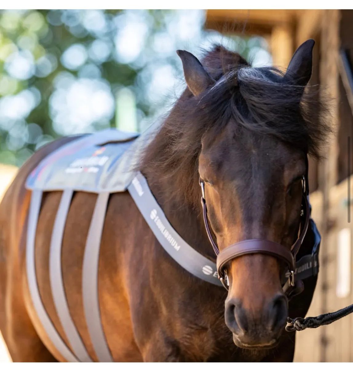 Equilibrium Heatsense Massage Pad - Image 4