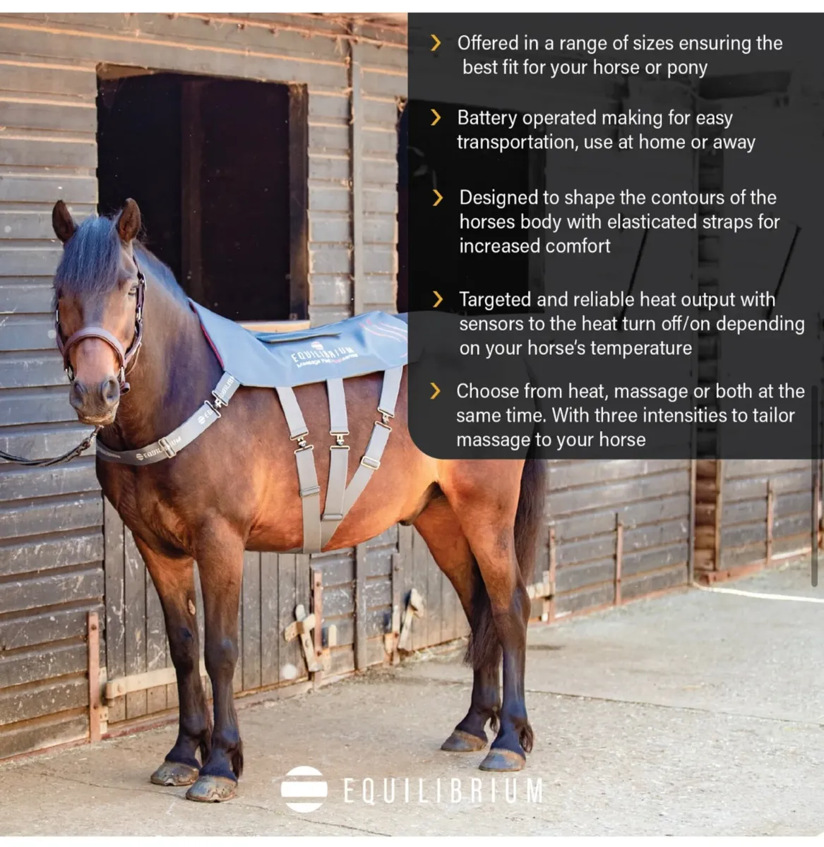 Equilibrium Heatsense Massage Pad - Image 2