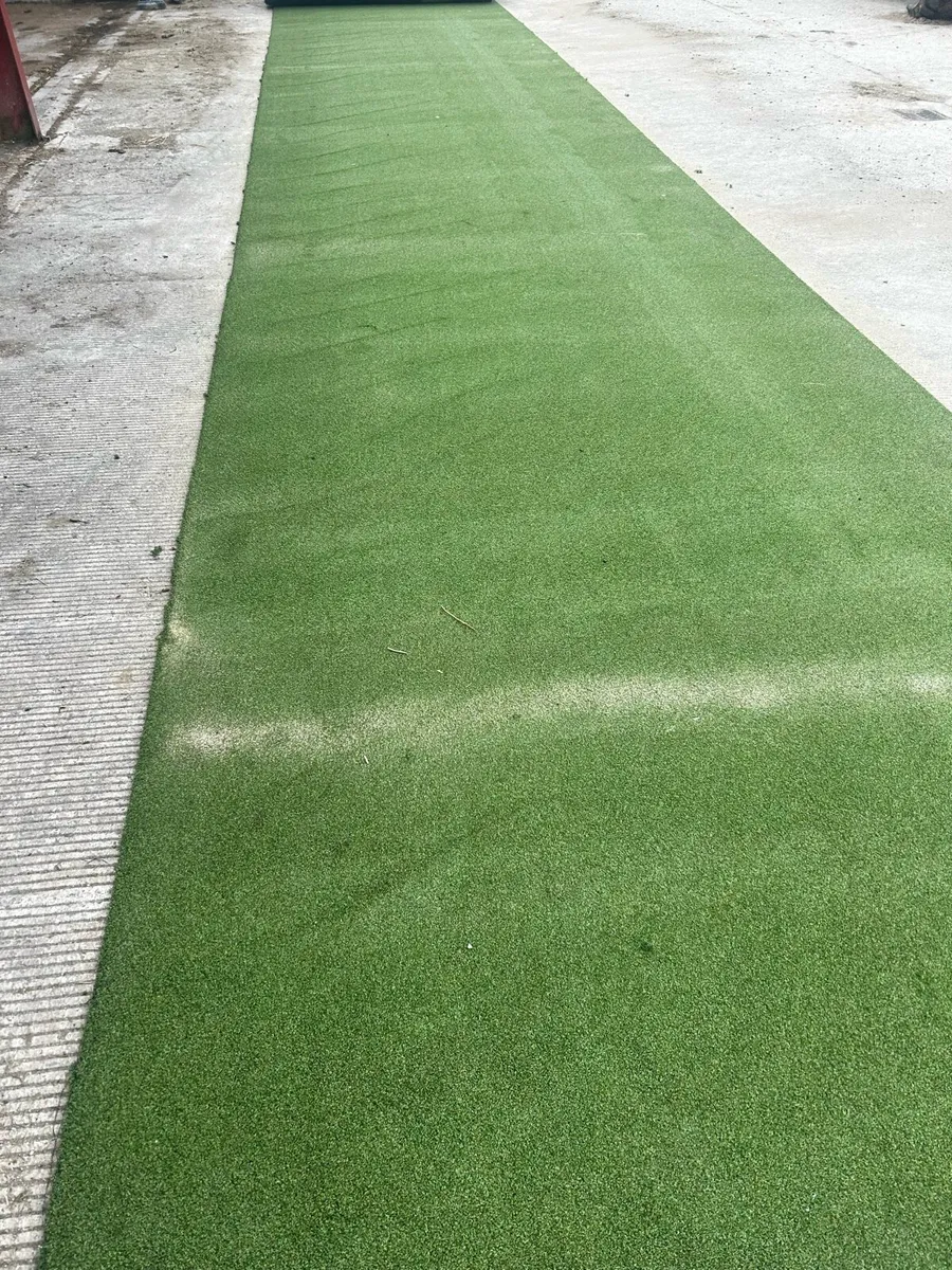 Artificial grass - Image 2
