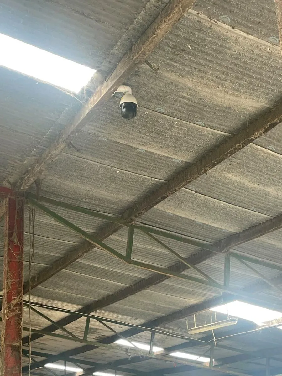 Calving and Lambing Cameras - Image 3