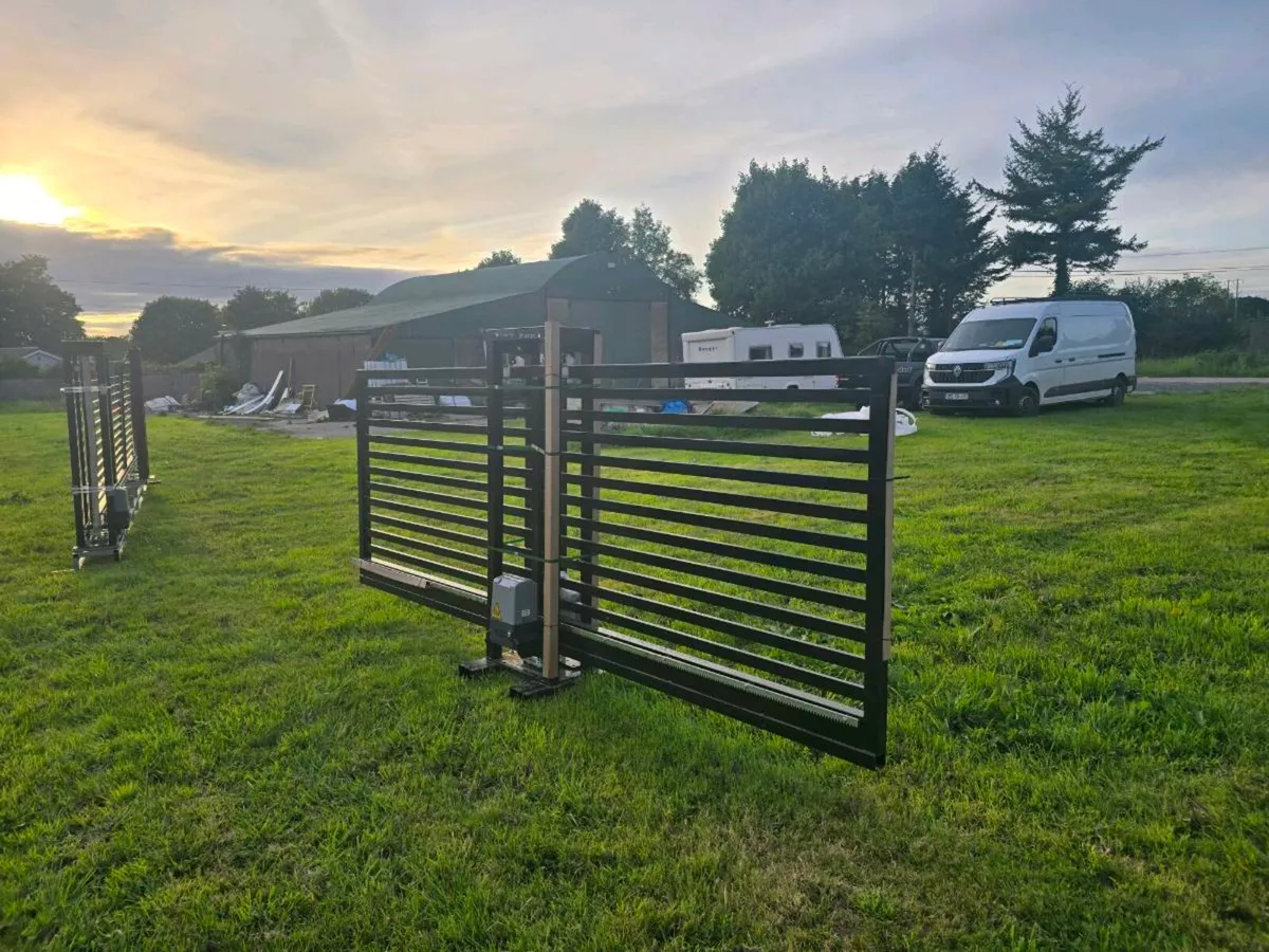 Electric gates - Image 3