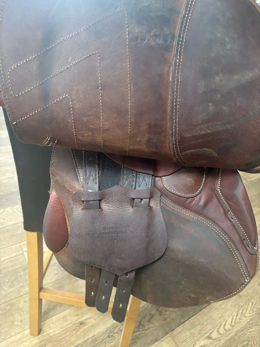 Saddle - Image 2
