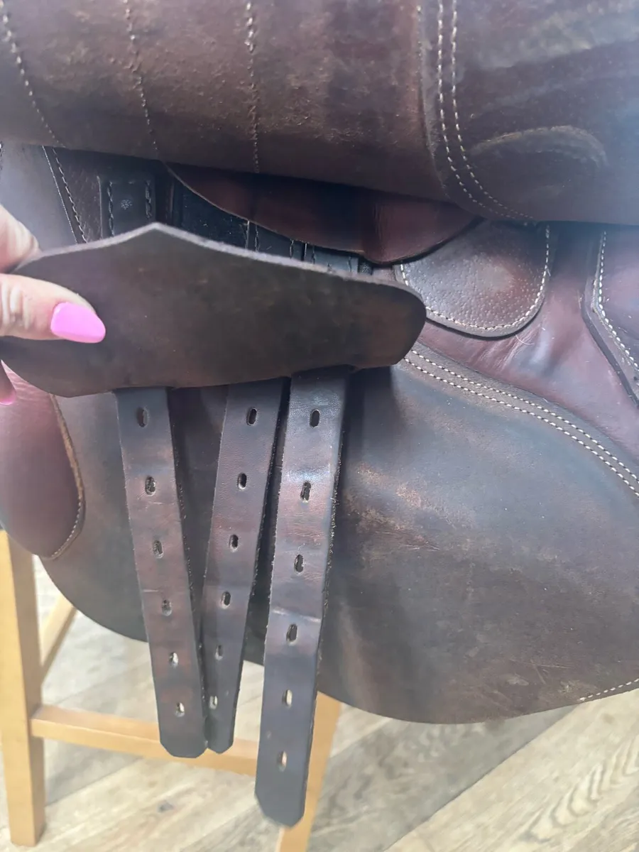 Saddle - Image 3