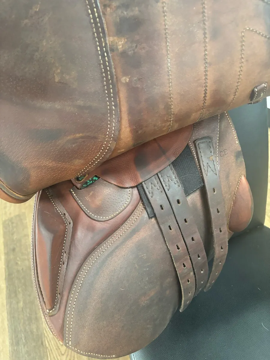 Saddle - Image 4