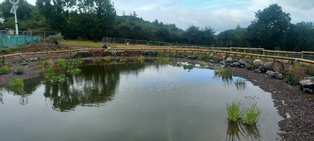 Karst Weathered Limestone - Image 1