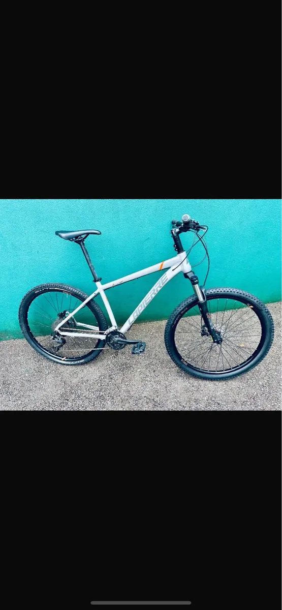 Mountain Bike - Image 1