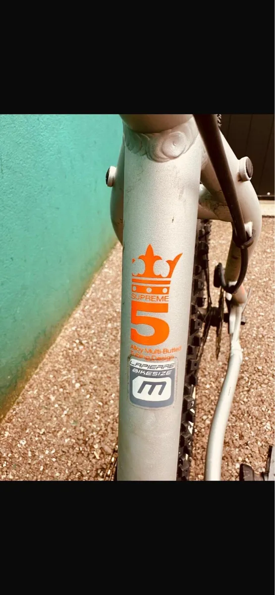 Mountain Bike - Image 3