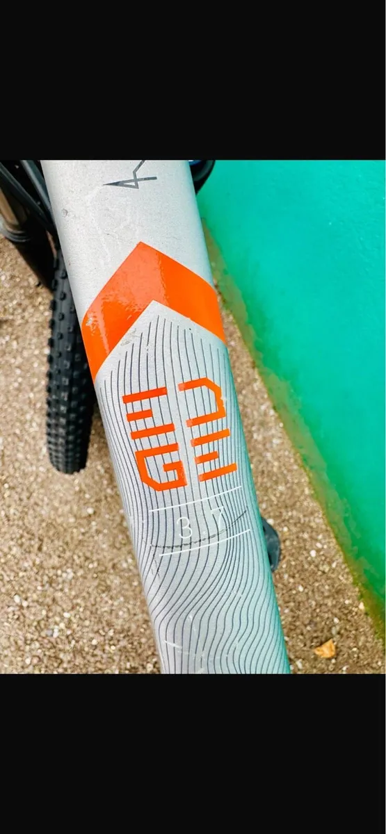 Mountain Bike - Image 4