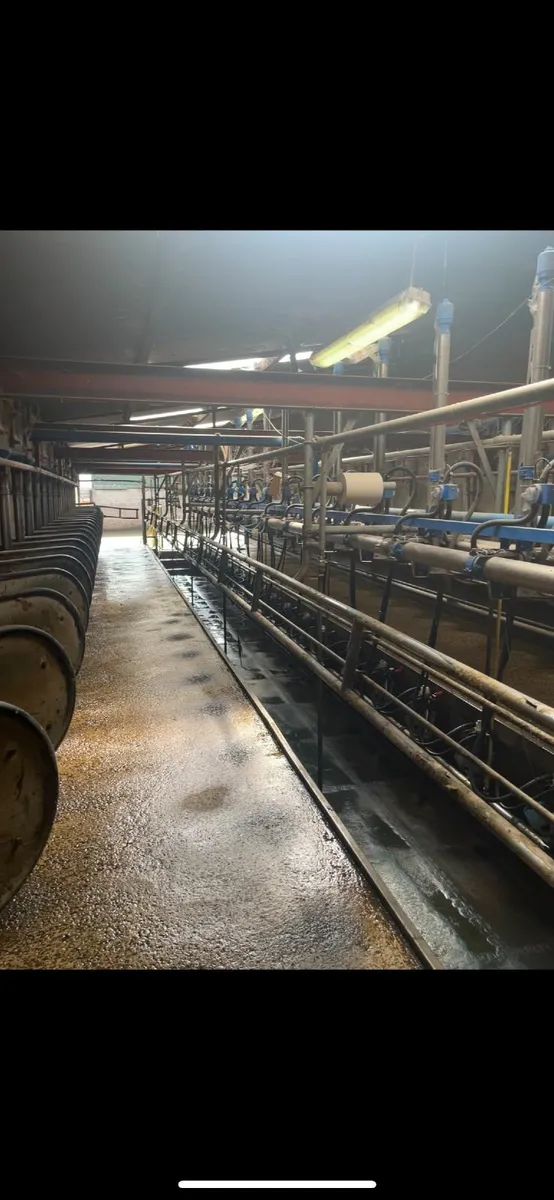 Dairy farm worker wanted - Image 2