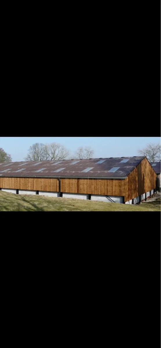 Larch Timber - Image 2