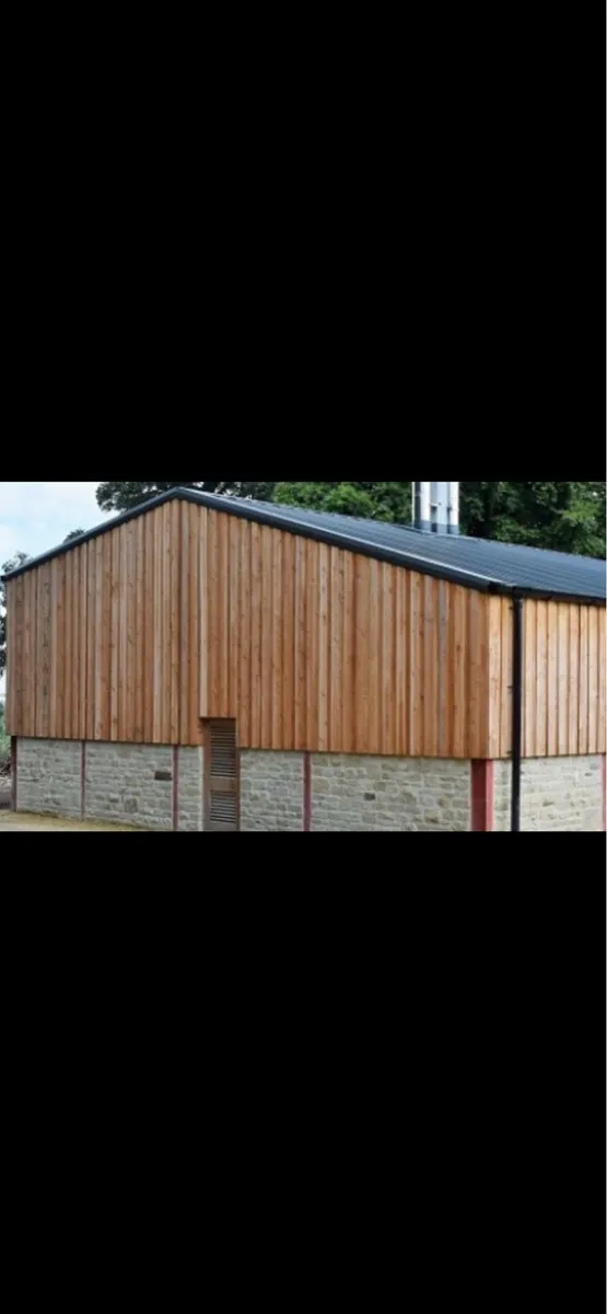 Larch Timber - Image 1