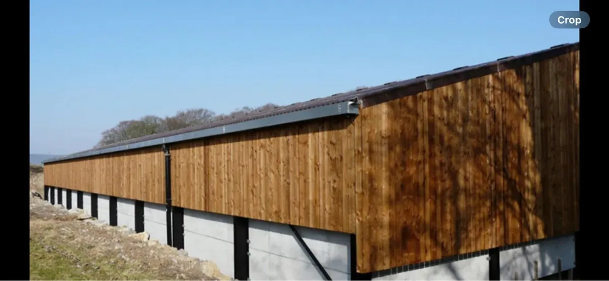 Larch Timber - Image 3