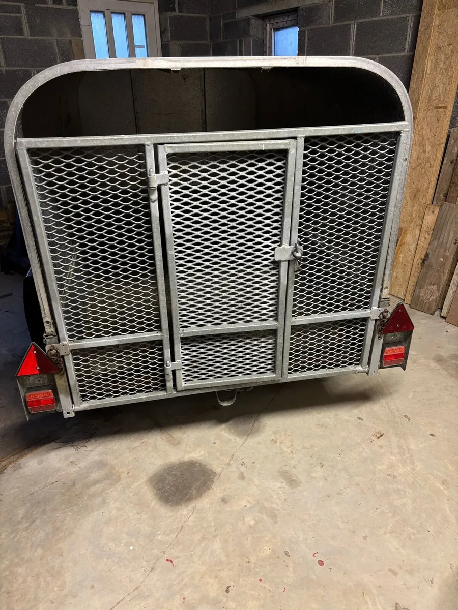 P6e Ivor Williams trailer - Image 4