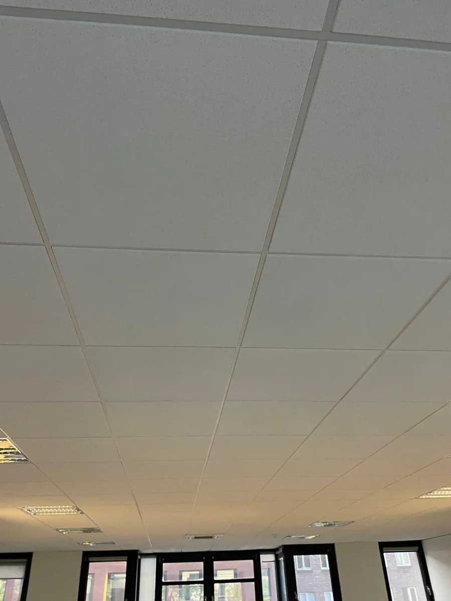 Ceiling Tiles - Image 1