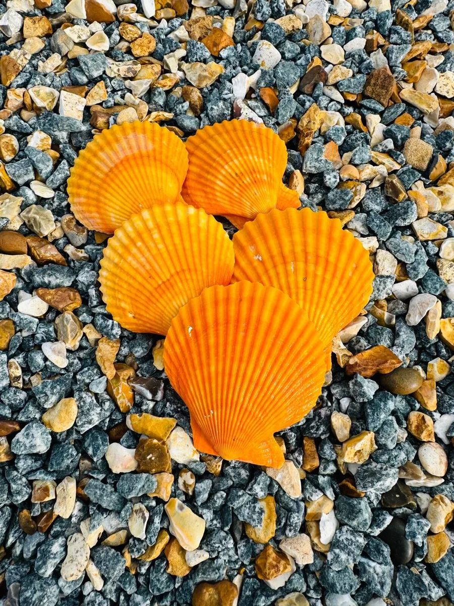 Stone Decorative - Image 2