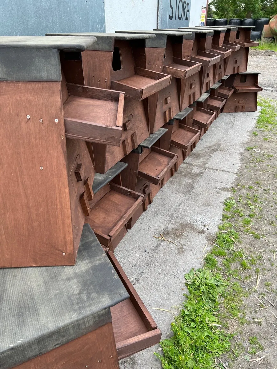 Owl boxes - Image 4