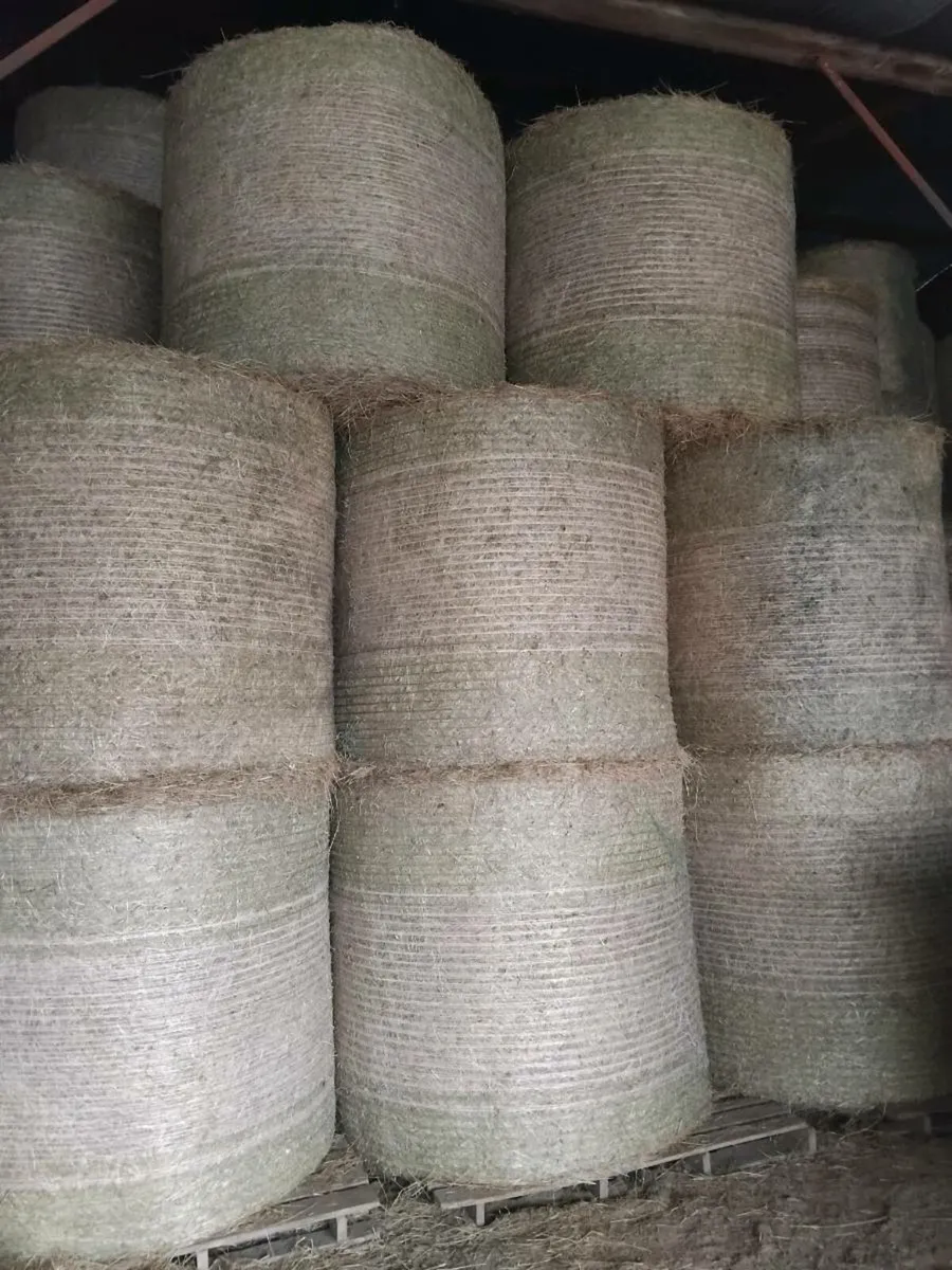 Top class hay - Image 3