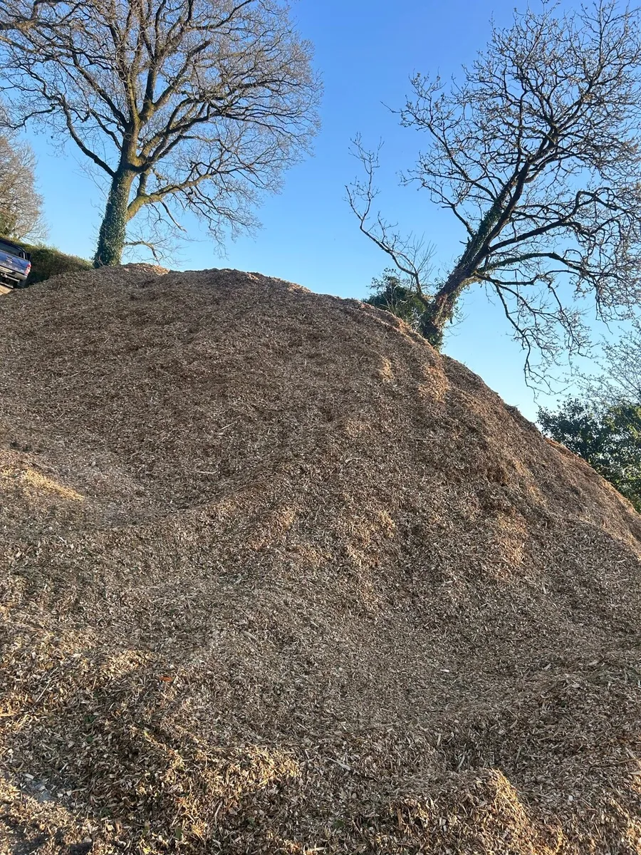 Woodchip bedding - Image 3