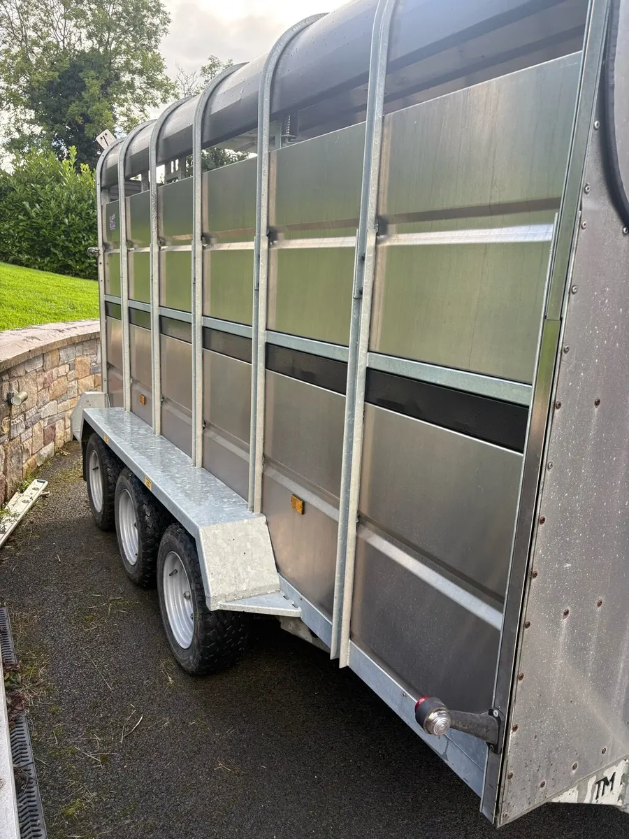 Cattle trailer - Image 2