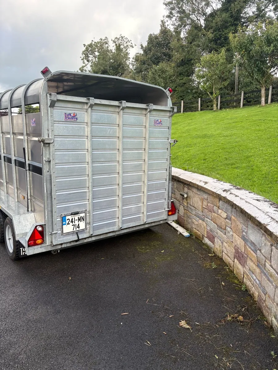 Cattle trailer - Image 4