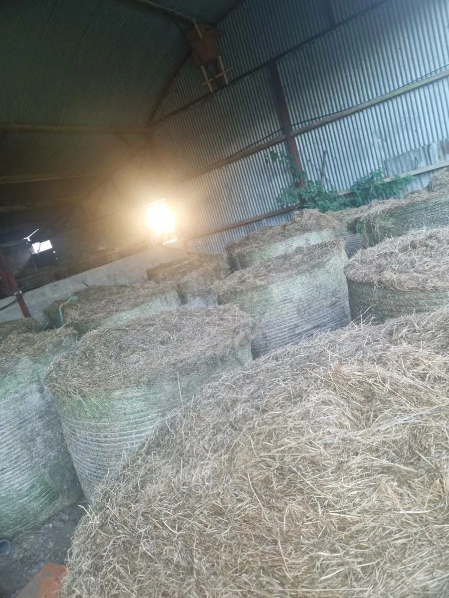 30 Bales of bedding for sale - Image 2