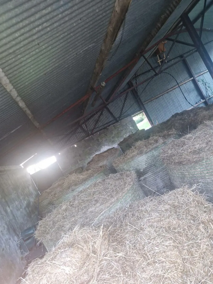 30 Bales of bedding for sale - Image 3