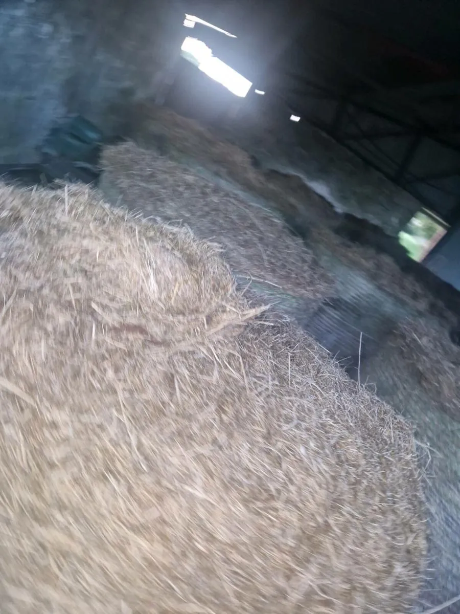 30 Bales of bedding for sale - Image 4