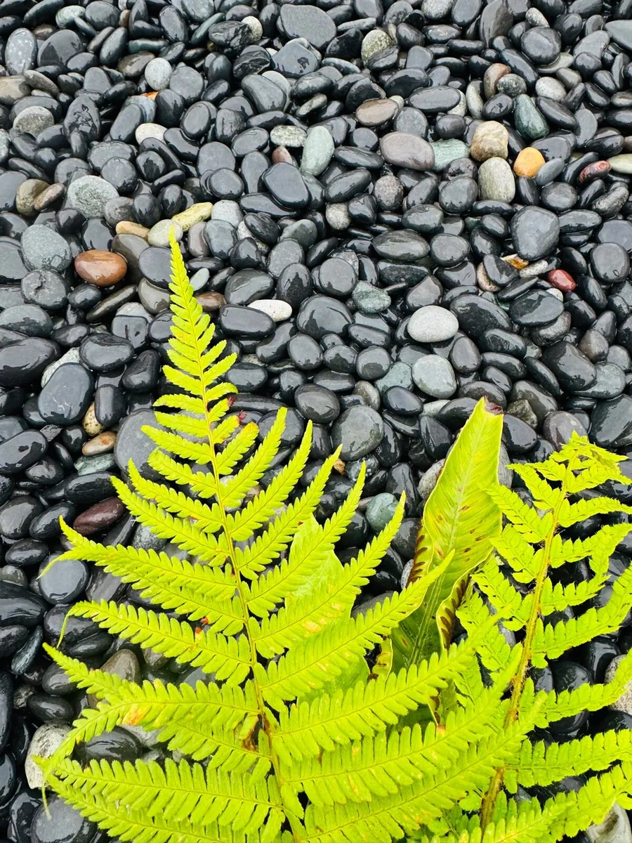 Black polished pebbles Memorial stone Grave chips - Image 2
